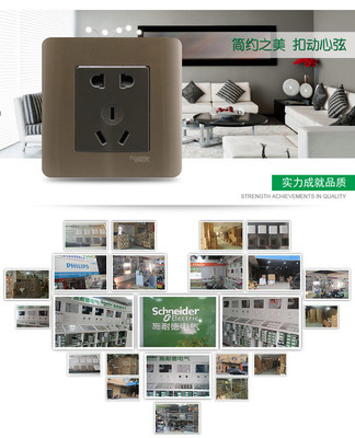 施耐德轻点系列一开五孔墙壁插座 格调棕开关插座全方位解析